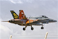 Paco Muoz Arencibia - Gran Canaria Spotters. Click to see full size photo