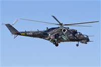 Fco Javier Garca Ruiz. Click to see full size photo