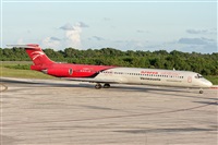 Bartolom Fernndez - Gran Canaria Spotters. Click to see full size photo
