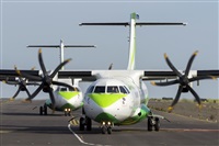 ©Daniel Santos Batista - Canary Islands Spotting. Click to see full size photo ©Daniel Santos Batista - Canary Islands Spotting. Click to see full size photo