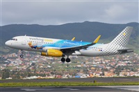 Miguel A. gueda Rguez.  (CANARY ISLANDS SPOTTING). Click to see full size photo