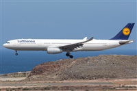 Adolfo Bento - Gran Canaria Spotters. Click to see full size photo