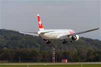 Miguel A. gueda Rguez.  (CANARY ISLANDS SPOTTING). Click to see full size photo