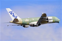 Miguel A. gueda Rguez.  (CANARY ISLANDS SPOTTING). Click to see full size photo