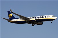 Alfonso Sols - Asociacin Canary Islands Spotting. Click to see full size photo