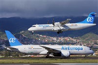 Miguel A. gueda Rguez.  (CANARY ISLANDS SPOTTING). Click to see full size photo