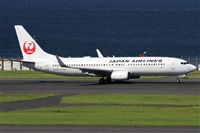 ©Alfonso Solís - Asociación Canary Islands Spotting. Click to see full size photo ©Alfonso Solís - Asociación Canary Islands Spotting. Click to see full size photo