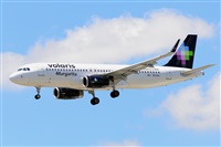 Miguel A. gueda Rguez.  (CANARY ISLANDS SPOTTING). Click to see full size photo