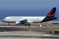 ©Alfonso Solís - Asociación Canary Islands Spotting. Click to see full size photo ©Alfonso Solís - Asociación Canary Islands Spotting. Click to see full size photo