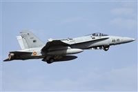 Florencio Martn Melin - Lanzarote Spotters. Click to see full size photo