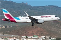 ©Adolfo Bento - Gran Canaria Spotters. Click to see full size photo ©Adolfo Bento - Gran Canaria Spotters. Click to see full size photo