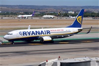 Miguel A. gueda Rguez.  (CANARY ISLANDS SPOTTING). Click to see full size photo