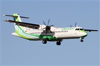 Alfonso Sols - Asociacin Canary Islands Spotting. Click to see full size photo