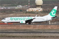 ©Alfonso Solís - Asociación Canary Islands Spotting. Click to see full size photo ©Alfonso Solís - Asociación Canary Islands Spotting. Click to see full size photo