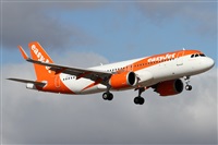 ©Alfonso Solís - Asociación Canary Islands Spotting. Click to see full size photo ©Alfonso Solís - Asociación Canary Islands Spotting. Click to see full size photo