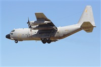 ©Luis Martín Garcia. AIRE.org. Click to see full size photo ©Luis Martín Garcia. AIRE.org. Click to see full size photo