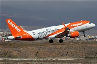 Alfonso Sols - Asociacin Canary Islands Spotting. Haz click para ampliar