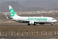 ©Alfonso Solís - Asociación Canary Islands Spotting. Click to see full size photo ©Alfonso Solís - Asociación Canary Islands Spotting. Click to see full size photo