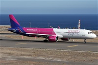 ©Alfonso Solís - Asociación Canary Islands Spotting. Click to see full size photo ©Alfonso Solís - Asociación Canary Islands Spotting. Click to see full size photo