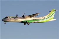 Adrin Alonso Lemes - Lanzarote Spotters. Click to see full size photo