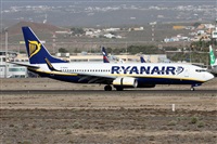 Alfonso Sols - Asociacin Canary Islands Spotting. Haz click para ampliar