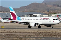 ©Alfonso Solís - Asociación Canary Islands Spotting. Click to see full size photo ©Alfonso Solís - Asociación Canary Islands Spotting. Click to see full size photo