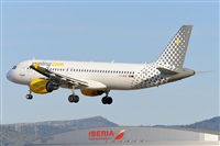 Miguel A. gueda Rguez.  (CANARY ISLANDS SPOTTING). Click to see full size photo
