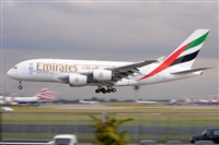 Miguel A. gueda Rguez.  (CANARY ISLANDS SPOTTING). Click to see full size photo
