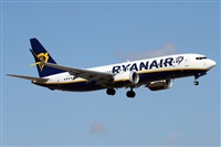 Alfonso Sols - Asociacin Canary Islands Spotting. Click to see full size photo