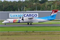 Miguel A. gueda Rguez.  (CANARY ISLANDS SPOTTING). Click to see full size photo