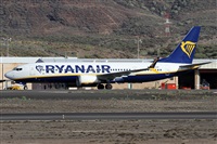 Alfonso Sols - Asociacin Canary Islands Spotting. Haz click para ampliar