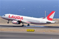 Miguel A. gueda Rguez.  (CANARY ISLANDS SPOTTING). Click to see full size photo