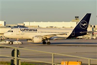 Miguel A. gueda Rguez.  (CANARY ISLANDS SPOTTING). Click to see full size photo