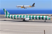 Miguel A. gueda Rguez.  (CANARY ISLANDS SPOTTING). Click to see full size photo