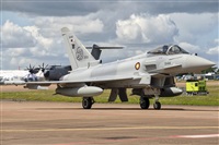 Adolfo Bento - Gran Canaria Spotters. Click to see full size photo