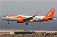Alfonso Sols - Asociacin Canary Islands Spotting. Haz click para ampliar