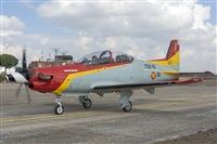 Adolfo Bento - Gran Canaria Spotters. Click to see full size photo