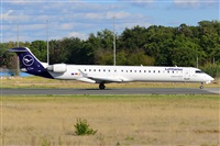 Miguel A. gueda Rguez.  (CANARY ISLANDS SPOTTING). Click to see full size photo