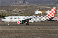 ©Alfonso Solís - Asociación Canary Islands Spotting. Click to see full size photo ©Alfonso Solís - Asociación Canary Islands Spotting. Click to see full size photo