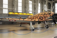 Gabriele Fontana - Tuscan Aviation. Click to see full size photo