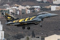 ©Adolfo Bento - Gran Canaria Spotters. Click to see full size photo ©Adolfo Bento - Gran Canaria Spotters. Click to see full size photo