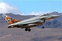 Manuel Fernandez. Click to see full size photo