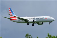 Miguel A. gueda Rguez.  (CANARY ISLANDS SPOTTING). Click to see full size photo