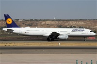 �Alfonso Sol�s - Asociaci�n Canary Islands Spotting. Click to see full size photo