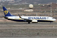 ©Alfonso Solís - Asociación Canary Islands Spotting. Click to see full size photo ©Alfonso Solís - Asociación Canary Islands Spotting. Click to see full size photo