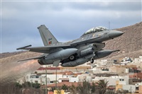 ©Manuel Acosta Zapata LMDT Spotters. Click to see full size photo ©Manuel Acosta Zapata LMDT Spotters. Click to see full size photo