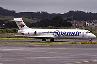 Javier de la Cruz - CANARY ISLANDS SPOTTING. Click to see full size photo