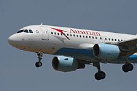 Jos Miguel Bernases - Noisy Spotters. Click to see full size photo