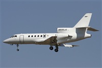 Jos Miguel Bernases - Noisy Spotters. Click to see full size photo