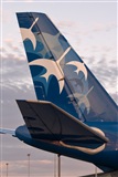Javier de la Cruz - CANARY ISLANDS SPOTTING. Haz click para ampliar